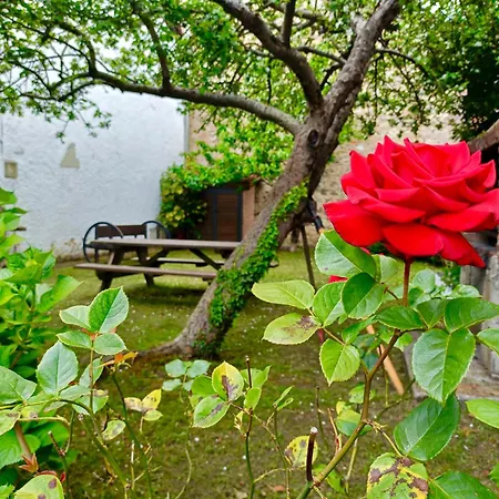 Casa Pelayo 2 منزل ريفي *